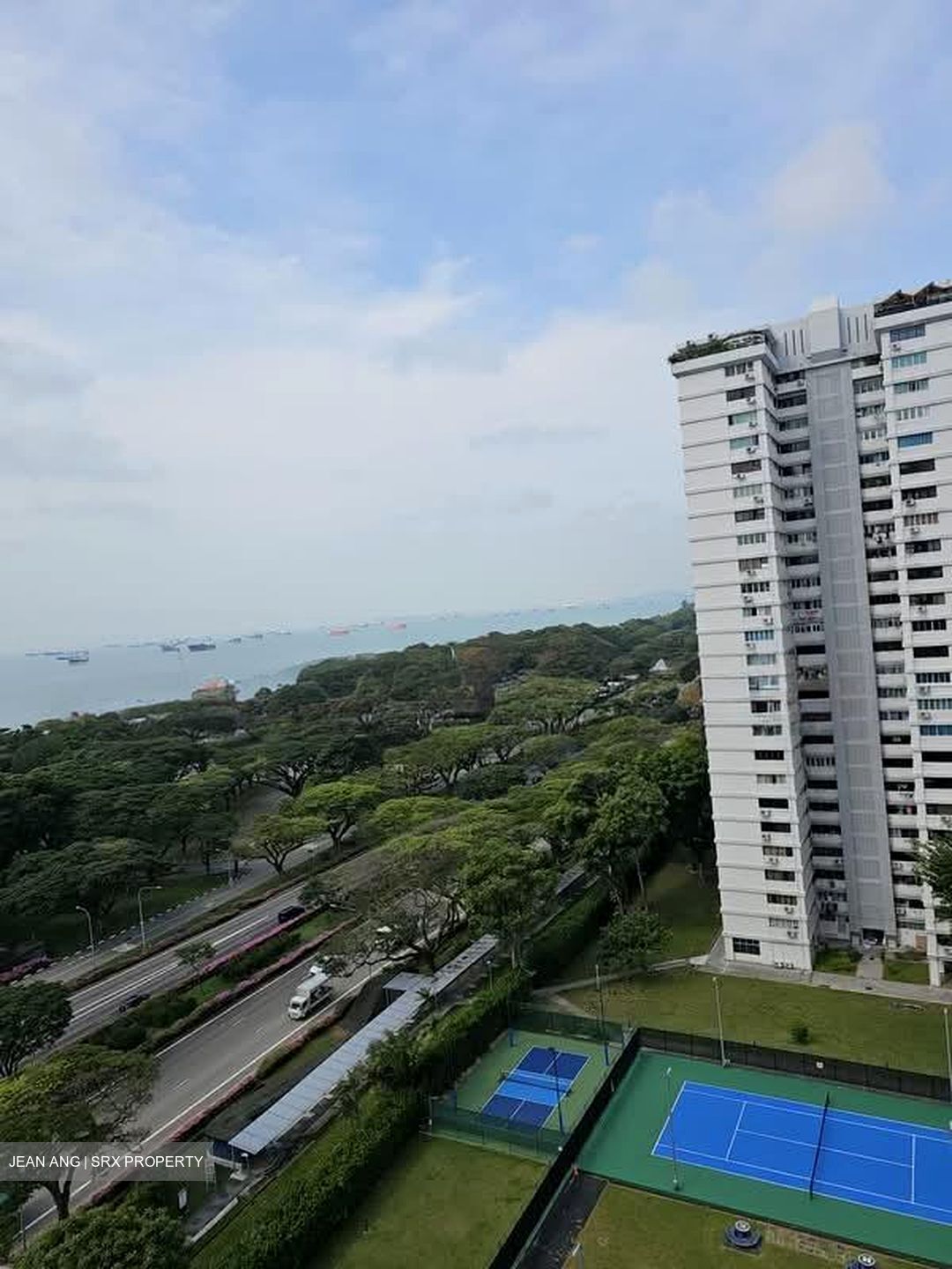 Laguna Park (D15), Apartment #530871801